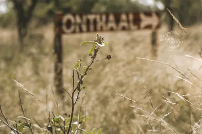 a plant in a field with a sign in the background at Buffalo Ranch Game Lodge in Groblersdal