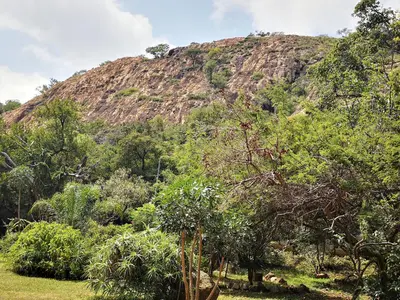 a mountain with trees in front of a hill at Windsor Cottage in Barberton
