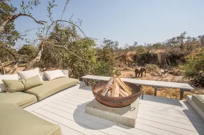 a patio with a couch and a fire pit with an elephant in the background at Saseka Tented Camp in Hoedspruit