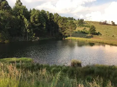 a lake in the middle of a field at Connemara Trout Lodge in Dullstroom