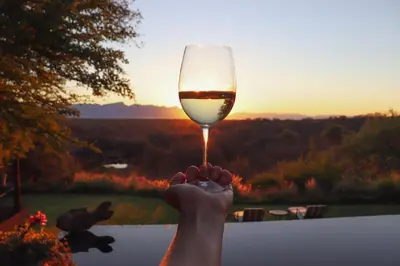 a person holding up a glass of wine at sunset at Khaya Ndlovu Safari Manor in Hoedspruit