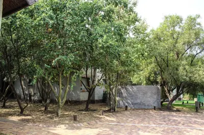 a group of trees in front of a building at Umuzi Lodge in Secunda