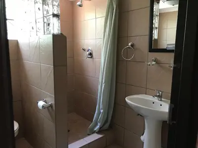 a bathroom with a shower and a sink at Contemporary Stay at Giraffe Cottage in Benoni