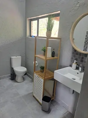 a bathroom with a sink and a toilet and a mirror at Gecko Lodge and Cottage, Mabalingwe in Warmbaths