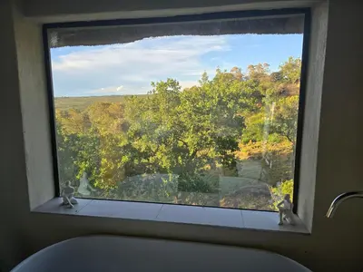 a bathroom window with a view of a tree at Bona Kgole Private Game Lodge, Mabalingwe in Warmbaths