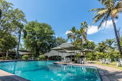 a pool at a resort with chairs and umbrellas at Sefapane Lodge and Safaris in Phalaborwa