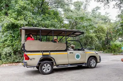 a group of people riding in a golf cart at Sefapane Lodge and Safaris in Phalaborwa