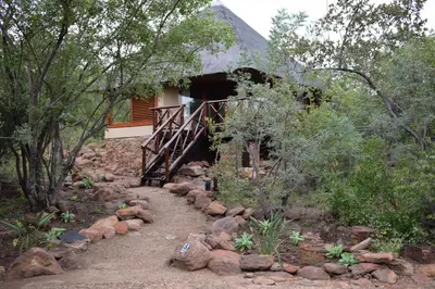 a path leading to a house in the woods at Sekala Private Game Lodge in Welgevonden Game Reserve