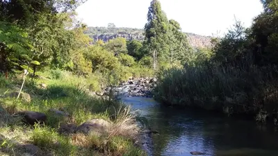 a stream of water next to a field with trees at Crocriver Chalet Schoemanskloof in Schoemanskloof