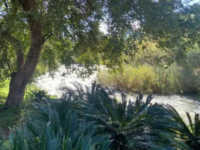 a view of a river with trees and plants at Crocriver Chalet Schoemanskloof in Schoemanskloof