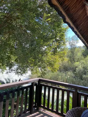 a deck with a view of a tree at Crocriver Chalet Schoemanskloof in Schoemanskloof