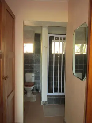 a bathroom with a toilet and a mirror at Marula Cottage Guest Lodge in Thabazimbi