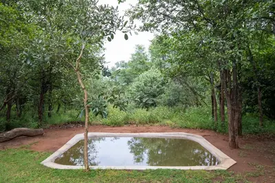 a small pond in the middle of a forest at Kingly Bush Villa in Phalaborwa