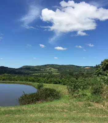 a lake in a field with a blue sky and clouds at Masasana’s Rest in Hazyview