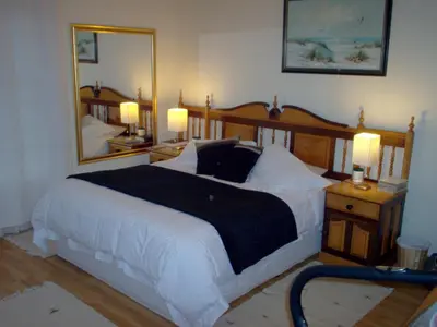 a bedroom with a large bed and a large mirror at Francor Guesthouse in Pretoria