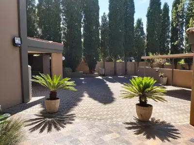 two palm trees in pots on a courtyard at Casabac in Pretoria