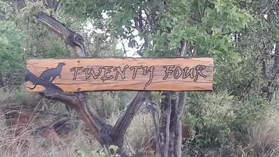 a sign in a tree with a bird on it at Twenty Four Mabalingwe Nature Reserve in Mabula