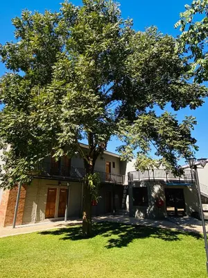 a tree in a yard in front of a building at Letaba Junction Lodge in Letsitele