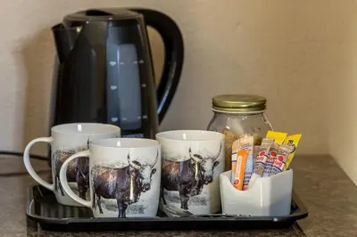 a tray with three coffee mugs with a cow on it at Kiyala Guest Farm in Nelspruit