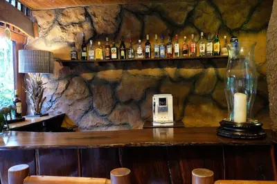 a bar with bottles of alcohol on a stone wall at Kaia Tani Exclusive Guesthouse in Phalaborwa