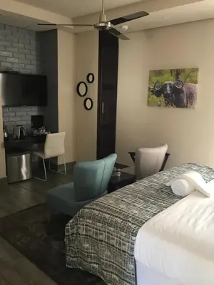 a bedroom with a bed and a desk and a tv at Ecolux Boutique Hotel in Komatipoort