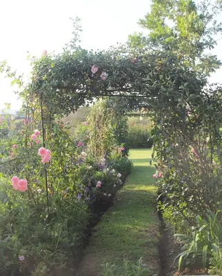 a garden with an arch with pink roses at BELLA ROSA FARM in Midrand