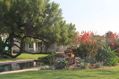 a garden with a fountain in the middle of a yard at BELLA ROSA FARM in Midrand