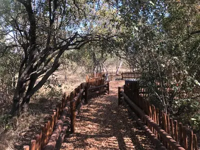 a fence in the middle of a field with trees at Niani villa in Hoedspruit