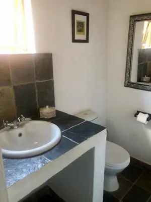 a bathroom with a sink and a toilet at Niani villa in Hoedspruit