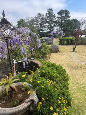 a garden with purple flowers and a bird bath at Apple and Rose in Belfast