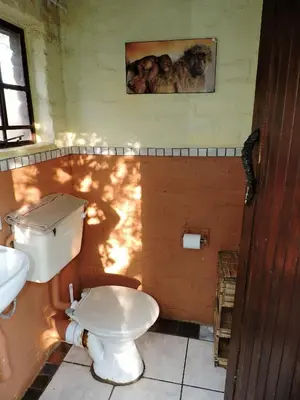 a bathroom with a toilet and a picture on the wall at Kruger Inn Backpackers in Marloth Park