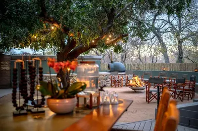 a table with a tree and lights on it at Tomo Safari Lodge in Hoedspruit