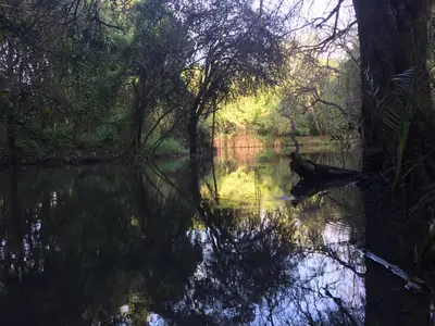 a view of a river with trees in the water at Dream of Africa Bush Lodge in Marloth Park