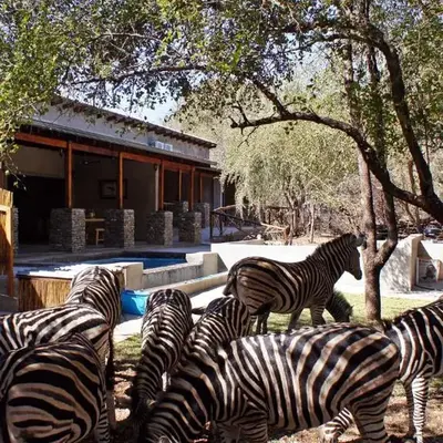 Dream of Africa Bush Lodge