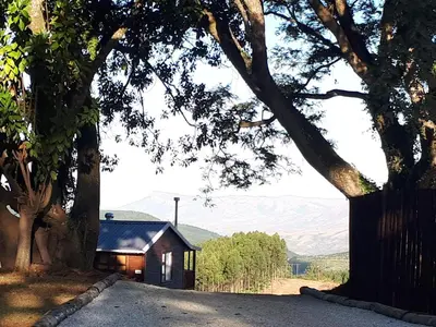 a small cabin with a tree and a road at Forest View Cabins in Tzaneen
