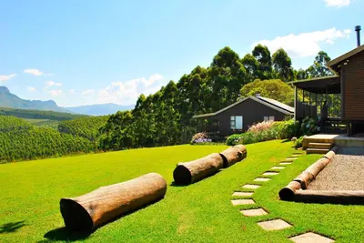 a yard with logs laying on the grass at Forest View Cabins in Tzaneen