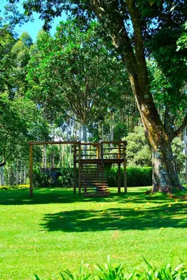 a park with a bench under a tree at Forest View Cabins in Tzaneen