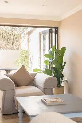 a living room with a couch and a plant at Ginger Barn Retreat - 1km from Menlyn in Pretoria