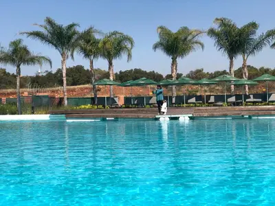 a man and a dog standing on a platform next to a swimming pool at A Coastal/island experience at a Large 2 bed apartment at a Crystal Lagoon Estate. in Pretoria