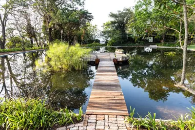 a wooden bridge over a lake with trees at Kings Walden Garden Manor in Tzaneen