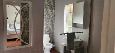 a bathroom with a toilet and a sink and a mirror at Mahogany Guesthouse Mbombela in Nelspruit