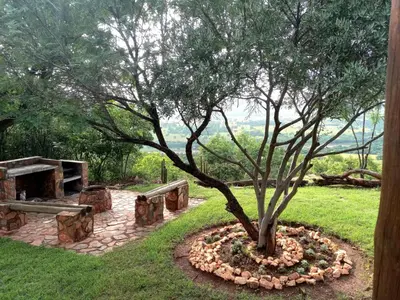 a tree in a flower bed with two benches at OPPIBERG GUEST HOUSE and SPA in Hartbeespoort