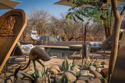 a patio with a pool with chairs and an umbrella at Ukuthula Bush Lodge in Hoedspruit