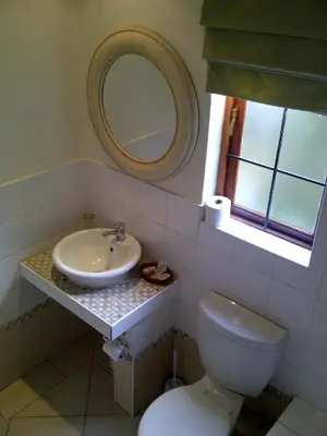 a bathroom with a sink and a toilet and a mirror at Villa Jana Guesthouse in Pretoria