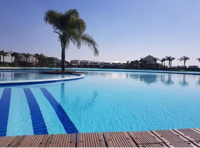 a large swimming pool with a palm tree in it at The Blyde, an impeccable blissful getaway (Balwin properties) in Pretoria
