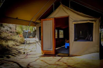 an open door of a tent with a door at Abelana Safari Camp in Phalaborwa