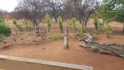 a garden with trees and a fallen tree trunk at Hornbills Rest Country Home in Phalaborwa