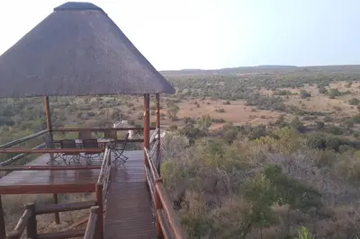 a wooden boardwalk with chairs and a straw umbrella at Kubu Khaya Mabalingwe in Mabula