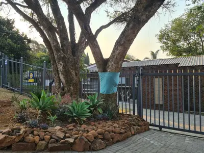 a tree with a blue bag hanging from a fence at NOOii Open Plan Room in Pretoria