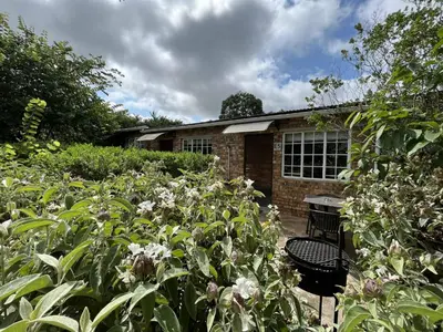a garden with flowers in front of a building at Halleria Self Catering in White River